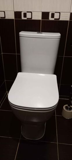 Установлено новое сантехническое оборудование, подключено к водопроводу и канализации. Проверена герметичность соединений, выполнена регулировка механизма смыва, произведена уборка рабочего места.