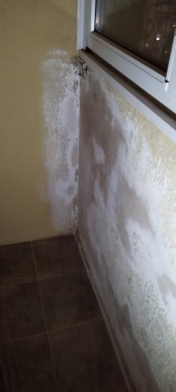 Удаление плесени, протечек, пятен