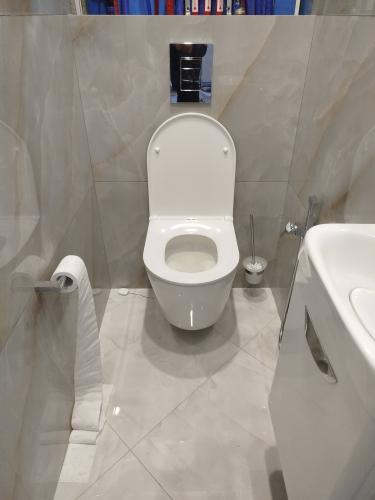 Установка подвесного унитаза (на готовую инсталляцию)