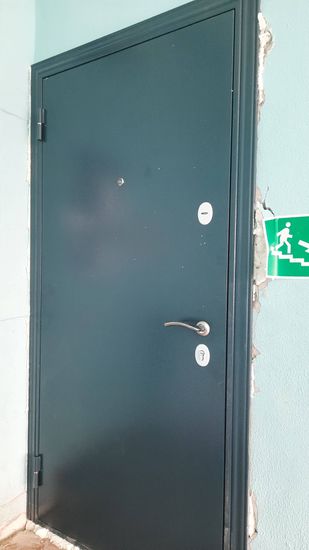 Установлена новая металлическая дверь, закреплены петли, врезаны замки, отрегулирована фурнитура, заделаны щели монтажной пеной, проверена плавность открывания и закрывания.