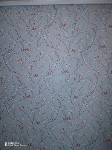 На стене аккуратно наклеены обои с изображением веток и птиц на голубом фоне, создавая гармоничный и стильный интерьер. Работа выполнена качественно, без видимых швов и пузырей.