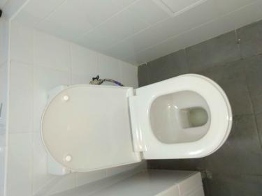 Установлено новое сантехническое оборудование, подключены коммуникации, закреплено сиденье, проверена герметичность соединений, протестирована система слива, выполнена уборка рабочего места.