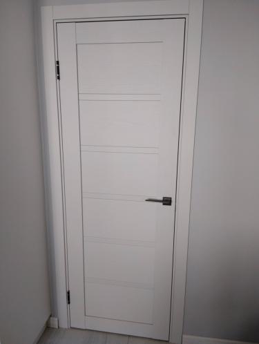 Установлено новое дверное полотно, выполнено крепление петель, зафиксирована ручка, произведена регулировка для плавного закрытия, обеспечена точная подгонка в проем.