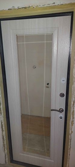 Установлена новая металлическая дверь с замками и ручкой. Проведена регулировка, монтаж коробки, герметизация швов, проверка функциональности. Обеспечена надежная фиксация.