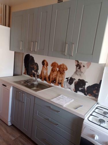 Установлены шкафы, смонтирована столешница, врезана мойка, подключена бытовая техника. Завершена отделка фартука с изображением собак. Все элементы тщательно выровнены и закреплены.