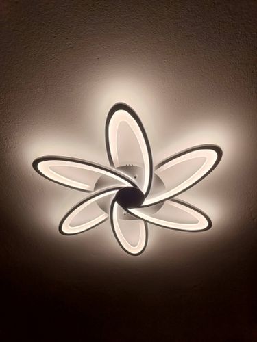 Установлено новое потолочное освещение, подключены провода, закреплена конструкция, проверена работоспособность, обеспечена безопасность и эстетичный вид.