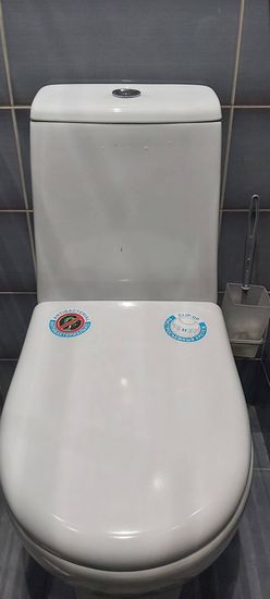 Проведена замена сливного механизма, устранение протечек, обновление креплений, установка нового сиденья. Обеспечена герметичность соединений, улучшена функциональность оборудования.