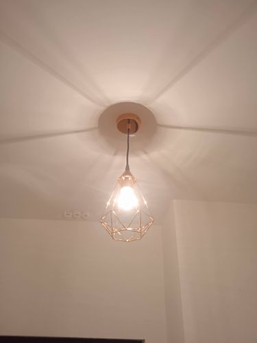 Установлено новое осветительное устройство: проведены демонтаж старого прибора, монтаж нового светильника, подключение проводов, проверка работы, закрепление на потолке.