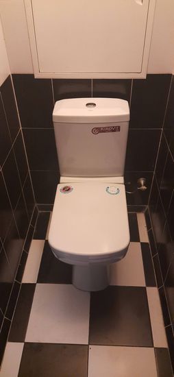 Установлен новый сантехнический прибор, подключен к водопроводу, закреплен на полу, проверена герметичность соединений, произведена регулировка сливного механизма, завершена чистовая отделка.