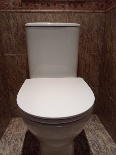 Установлено новое сантехническое оборудование, подключены коммуникации, проверена герметичность соединений, выполнена регулировка уровня воды, произведена уборка рабочего места.