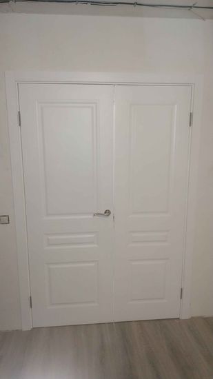 Установлены двойные створки, закреплены петли, врезана ручка, отрегулированы зазоры, проверена плавность открывания, завершена отделка проема, обеспечена надежная фиксация конструкции.