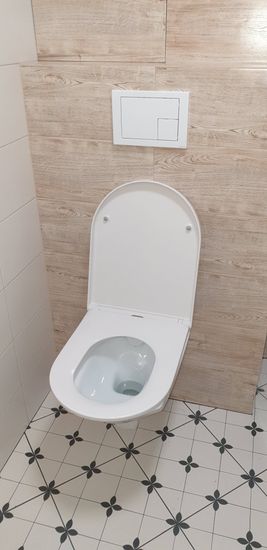 Установка подвесного унитаза (на готовую инсталляцию)