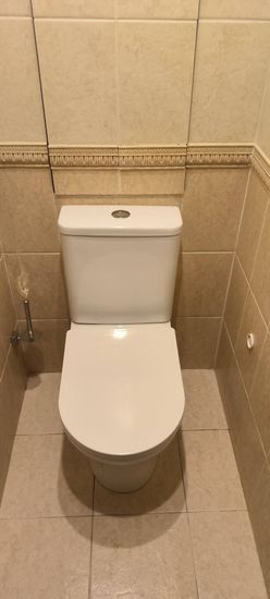 Установлено новое сантехническое оборудование, подключено к водопроводу и канализации, проверена герметичность соединений, произведена регулировка бачка, выполнена чистовая отделка.