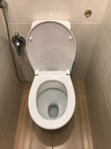 Заменена прокладка, устранена протечка, отрегулирован слив, закреплено сиденье, проверена герметичность соединений, очищена поверхность, восстановлена функциональность, обновлена фурнитура.