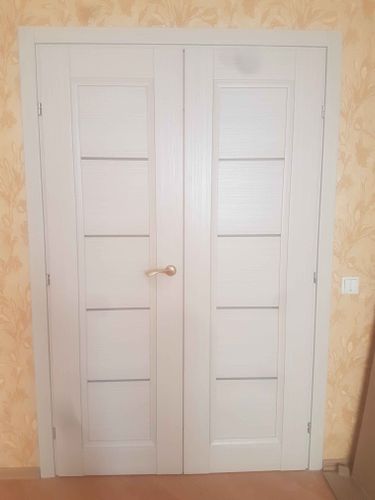 Установлены двустворчатые двери: произведён монтаж коробки, навешены петли, закреплены ручки, отрегулированы створки для плавного открывания и закрывания, обеспечена плотная посадка.