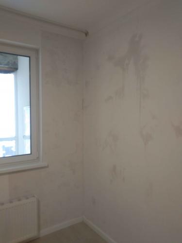 Стены очищены от старого покрытия, поверхность подготовлена для дальнейших работ. Обои полностью удалены, оставив гладкую основу для нового декора.