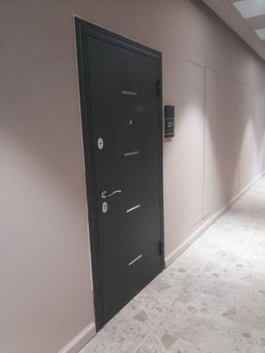 Проведена замена замков, регулировка петель, устранение скрипов, обновление уплотнителей, восстановление покрытия, проверка механизма закрытия, улучшение звукоизоляции, установка глазка.