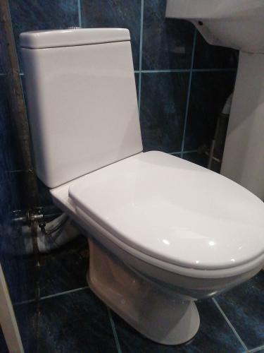 Установлено новое сантехническое оборудование, подключены коммуникации, проверена герметичность соединений, проведена регулировка сливного механизма, выполнена чистовая отделка.