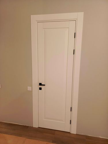 Установлена новая створка, закреплены петли, вмонтирована ручка, отрегулированы зазоры, проверена плавность открывания, завершены отделочные работы, обеспечена надежная фиксация конструкции.