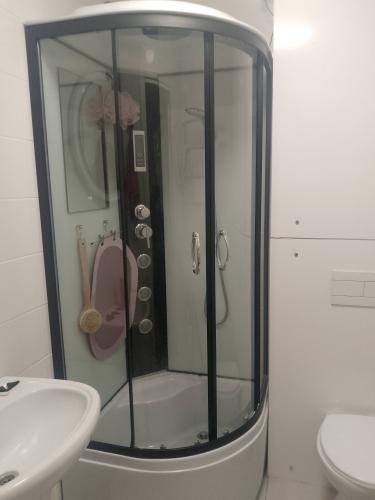 Замена/установка дверцы в душевой кабине