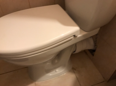 Установлено новое сантехническое оборудование, подключены коммуникации, проверена герметичность соединений, закреплено на полу, выполнена регулировка бачка, проведена проверка функционирования.