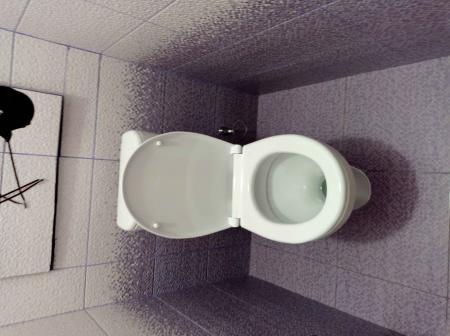 Завершена установка нового унитаза, произведена замена всех уплотнителей, проверена герметичность соединений, отрегулирована арматура бачка, устранены протечки, обновлена система крепления.