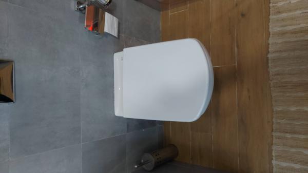 Установка подвесного унитаза (на готовую инсталляцию)