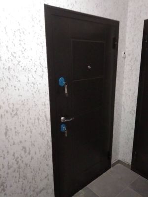 Установка входной двери весом до 95 кг