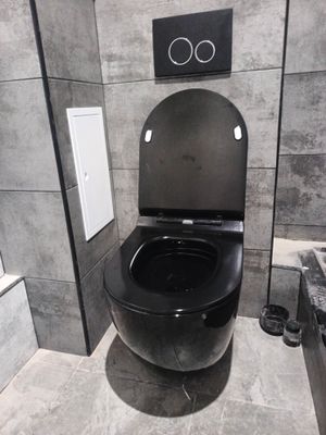 Установка подвесного унитаза (на готовую инсталляцию)