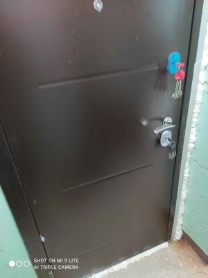 Установлена новая металлическая дверь, закреплена в проеме, обработаны швы монтажной пеной для герметичности. Установлены ручка и замок, проверена функциональность конструкции.