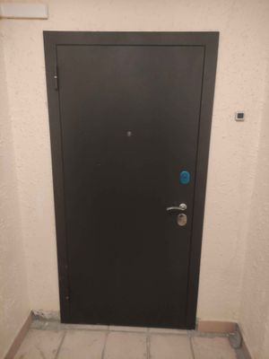 Установлена новая металлическая дверь с замком и ручкой. Проведены работы по монтажу коробки, регулировке петель и герметизации швов. Обеспечена надежная защита и теплоизоляция.