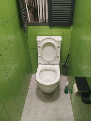 Установлено сантехническое оборудование: закреплено на полу, подключено к водопроводу и канализации, проверена герметичность соединений, произведена регулировка бачка, проведена уборка рабочего места.