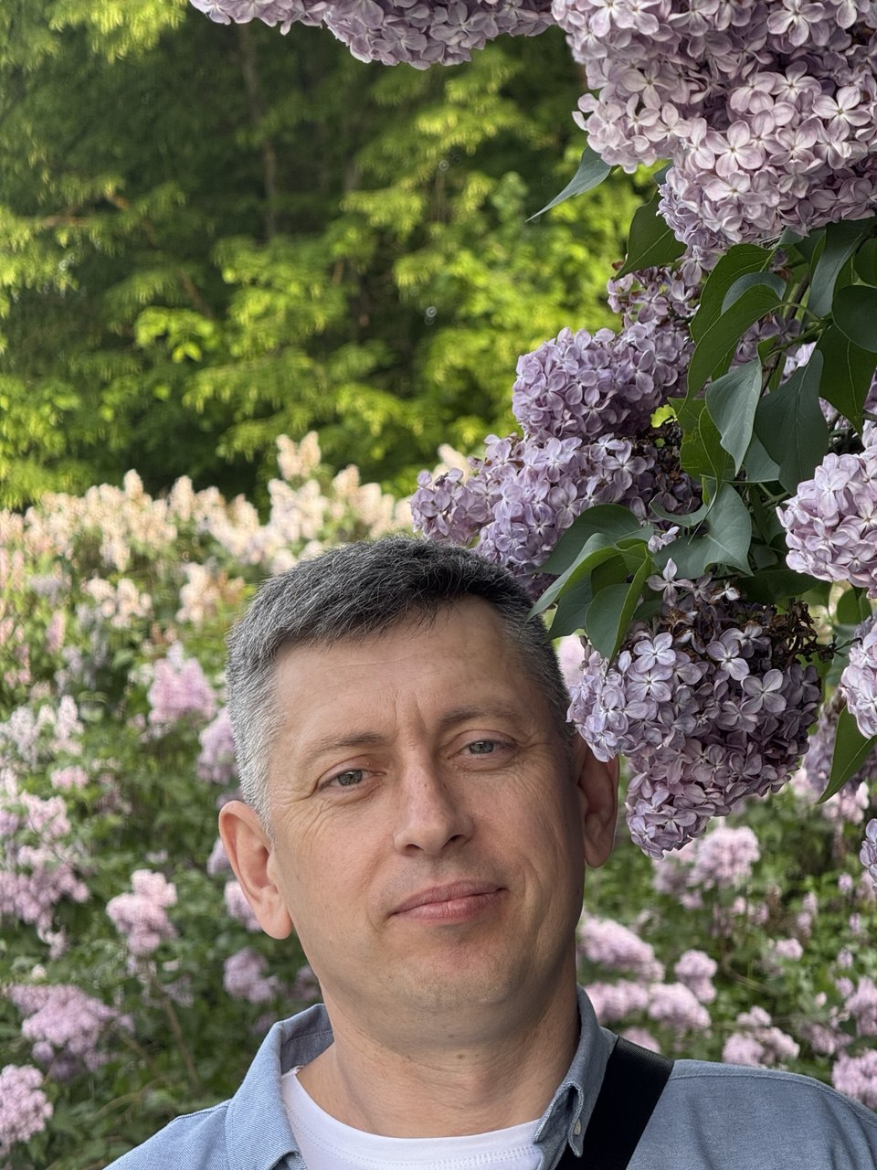 Аватар мастера